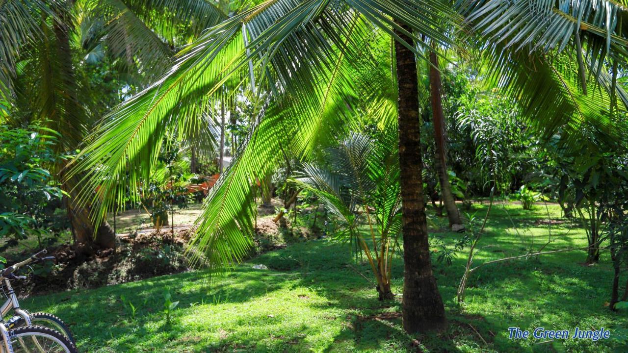 The Green Jungle Dambulla Exterior foto